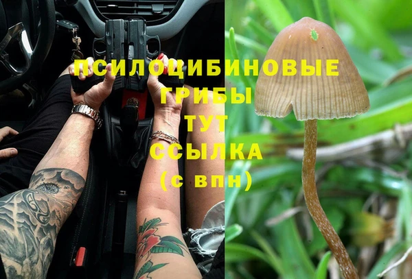 круглые Алексеевка