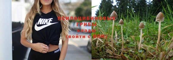 скорость Алзамай