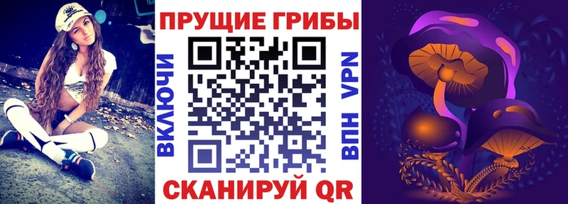 продажа наркотиков  hydra   Псилоцибиновые грибы мицелий  Палласовка 